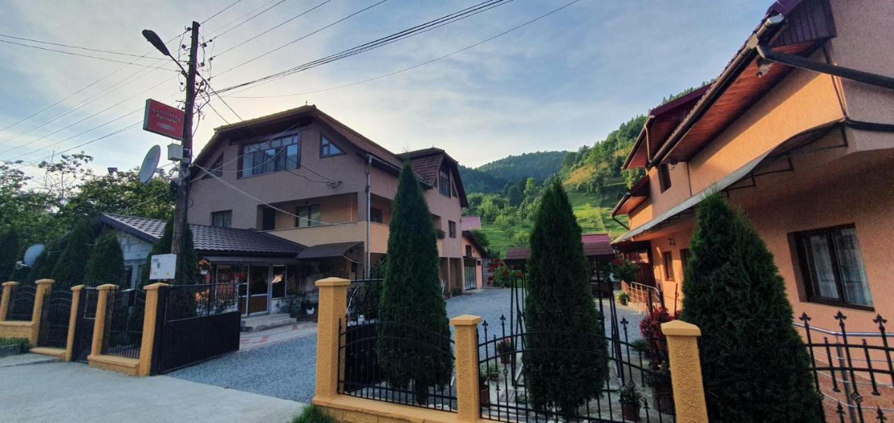 Pensiunea Apuseni Vidra  Dış mekan fotoğraf